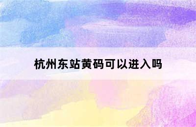 杭州东站黄码可以进入吗