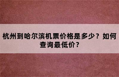 杭州到哈尔滨机票价格是多少？如何查询最低价？