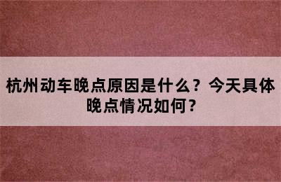 杭州动车晚点原因是什么？今天具体晚点情况如何？