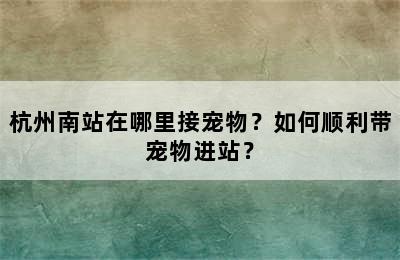 杭州南站在哪里接宠物？如何顺利带宠物进站？