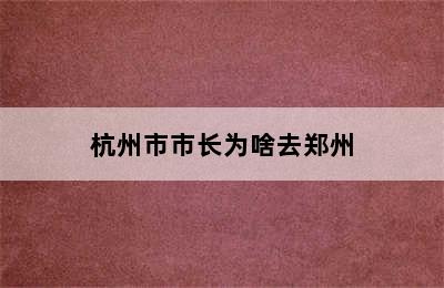 杭州市市长为啥去郑州