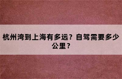 杭州湾到上海有多远？自驾需要多少公里？