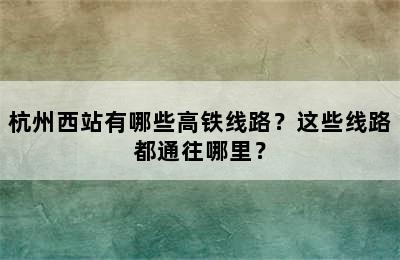 杭州西站有哪些高铁线路？这些线路都通往哪里？