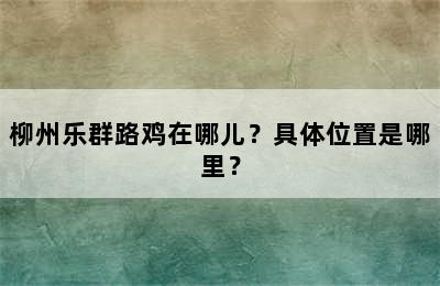 柳州乐群路鸡在哪儿？具体位置是哪里？