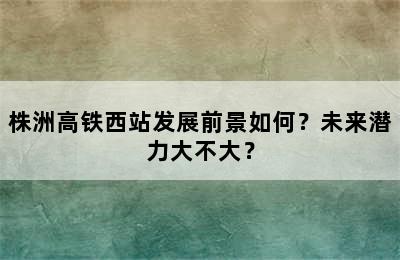 株洲高铁西站发展前景如何？未来潜力大不大？