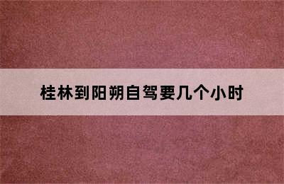 桂林到阳朔自驾要几个小时