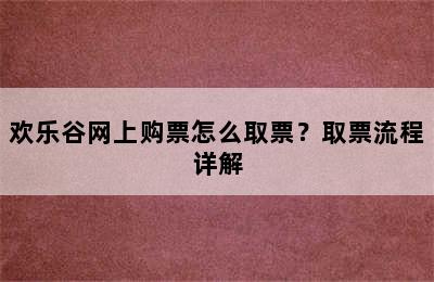 欢乐谷网上购票怎么取票？取票流程详解