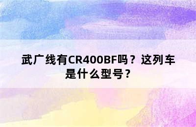 武广线有CR400BF吗？这列车是什么型号？