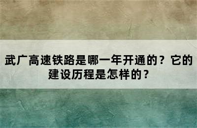 武广高速铁路是哪一年开通的？它的建设历程是怎样的？
