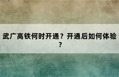 武广高铁何时开通？开通后如何体验？