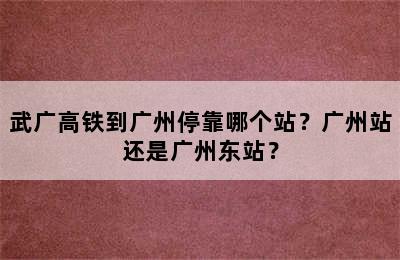 武广高铁到广州停靠哪个站？广州站还是广州东站？