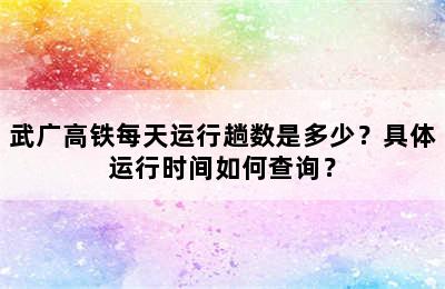 武广高铁每天运行趟数是多少？具体运行时间如何查询？
