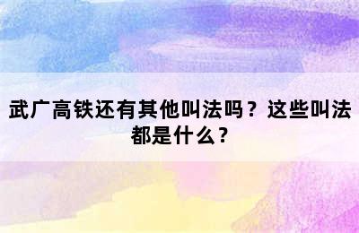 武广高铁还有其他叫法吗？这些叫法都是什么？