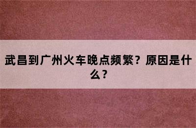 武昌到广州火车晚点频繁？原因是什么？