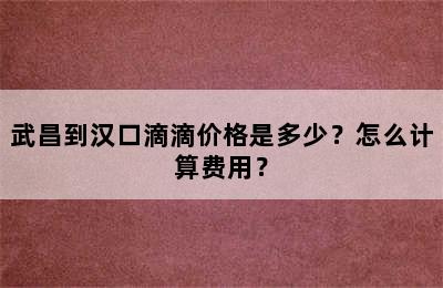 武昌到汉口滴滴价格是多少？怎么计算费用？