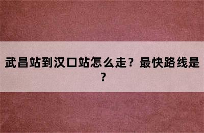 武昌站到汉口站怎么走？最快路线是？