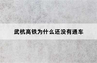 武杭高铁为什么还没有通车