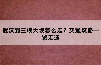 武汉到三峡大坝怎么走？交通攻略一览无遗