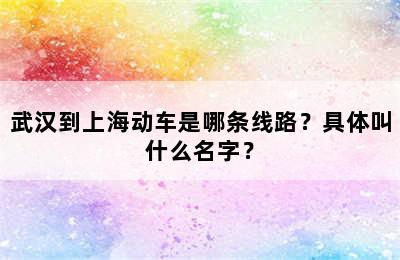 武汉到上海动车是哪条线路？具体叫什么名字？
