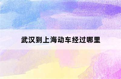 武汉到上海动车经过哪里
