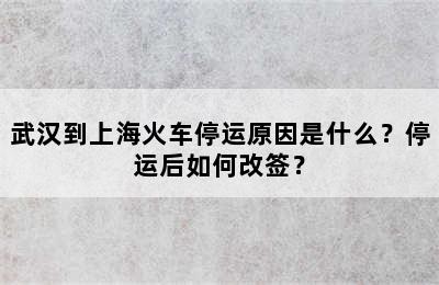 武汉到上海火车停运原因是什么？停运后如何改签？
