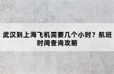 武汉到上海飞机需要几个小时？航班时间查询攻略