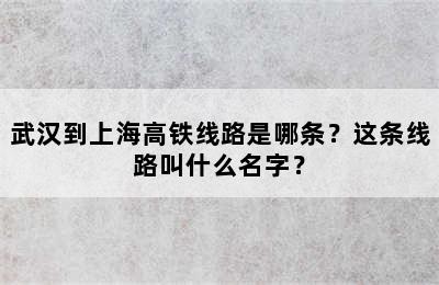 武汉到上海高铁线路是哪条？这条线路叫什么名字？