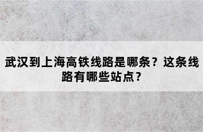 武汉到上海高铁线路是哪条？这条线路有哪些站点？