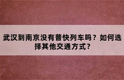 武汉到南京没有普快列车吗？如何选择其他交通方式？