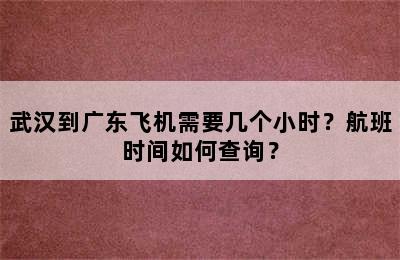 武汉到广东飞机需要几个小时？航班时间如何查询？