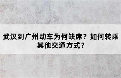武汉到广州动车为何缺席？如何转乘其他交通方式？