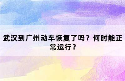 武汉到广州动车恢复了吗？何时能正常运行？