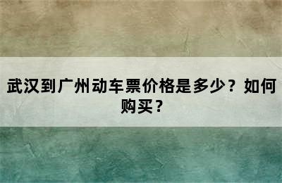 武汉到广州动车票价格是多少？如何购买？