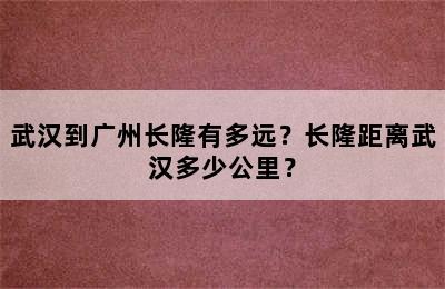 武汉到广州长隆有多远？长隆距离武汉多少公里？