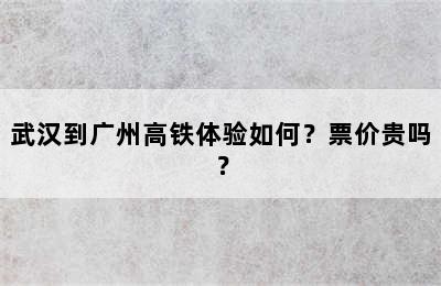 武汉到广州高铁体验如何？票价贵吗？