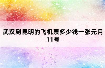 武汉到昆明的飞机票多少钱一张元月11号