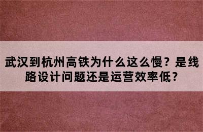 武汉到杭州高铁为什么这么慢？是线路设计问题还是运营效率低？