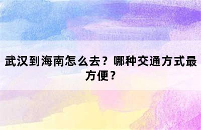武汉到海南怎么去？哪种交通方式最方便？