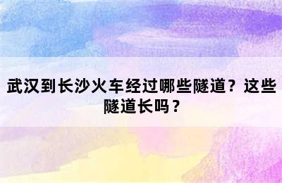 武汉到长沙火车经过哪些隧道？这些隧道长吗？