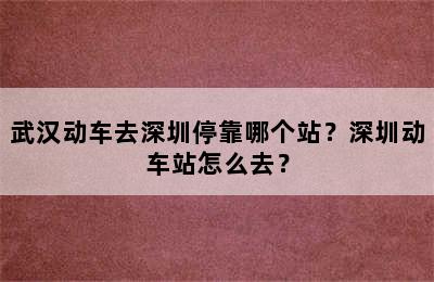 武汉动车去深圳停靠哪个站？深圳动车站怎么去？