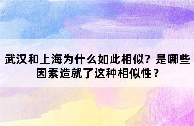 武汉和上海为什么如此相似？是哪些因素造就了这种相似性？