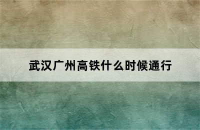 武汉广州高铁什么时候通行