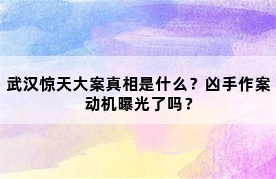 武汉惊天大案真相是什么？凶手作案动机曝光了吗？