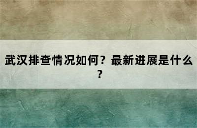 武汉排查情况如何？最新进展是什么？