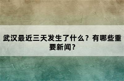 武汉最近三天发生了什么？有哪些重要新闻？