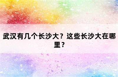 武汉有几个长沙大？这些长沙大在哪里？