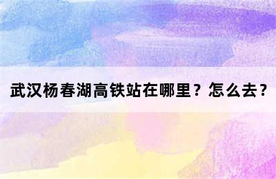 武汉杨春湖高铁站在哪里？怎么去？