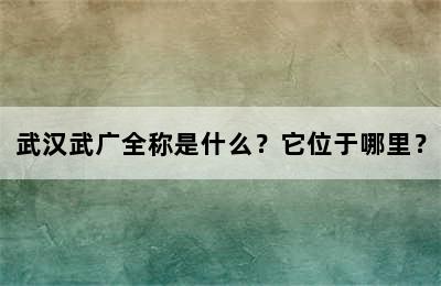 武汉武广全称是什么？它位于哪里？
