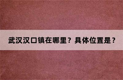武汉汉口镇在哪里？具体位置是？