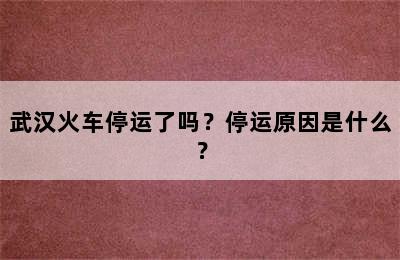 武汉火车停运了吗？停运原因是什么？